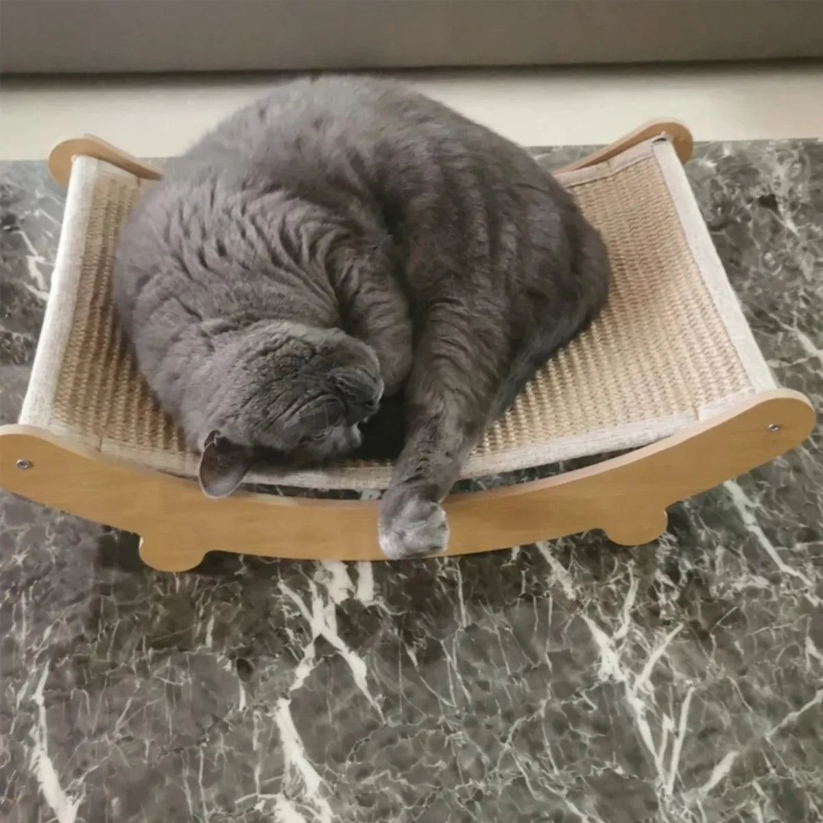 Multifunctional Wooden Cat Scratcher with Detachable Bed